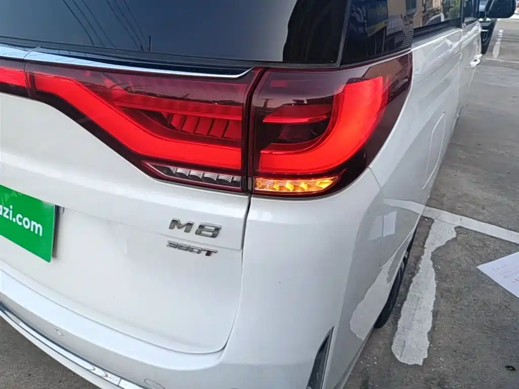 GAC Trumpchi Trumpchi M8 2021 Leading Show Series 390T Prestige Edition фото 8