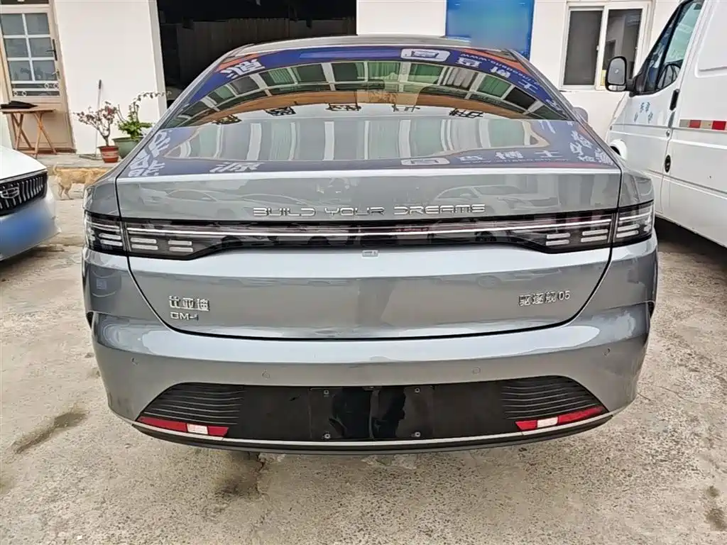 BYD Destroyer 05 2023 Champion Edition DM-i 55KM Luxury фото 6