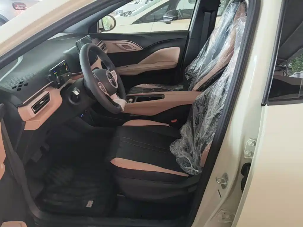BYD Seagull 2026 2025 Smart Drive Edition 305km Vitality Version