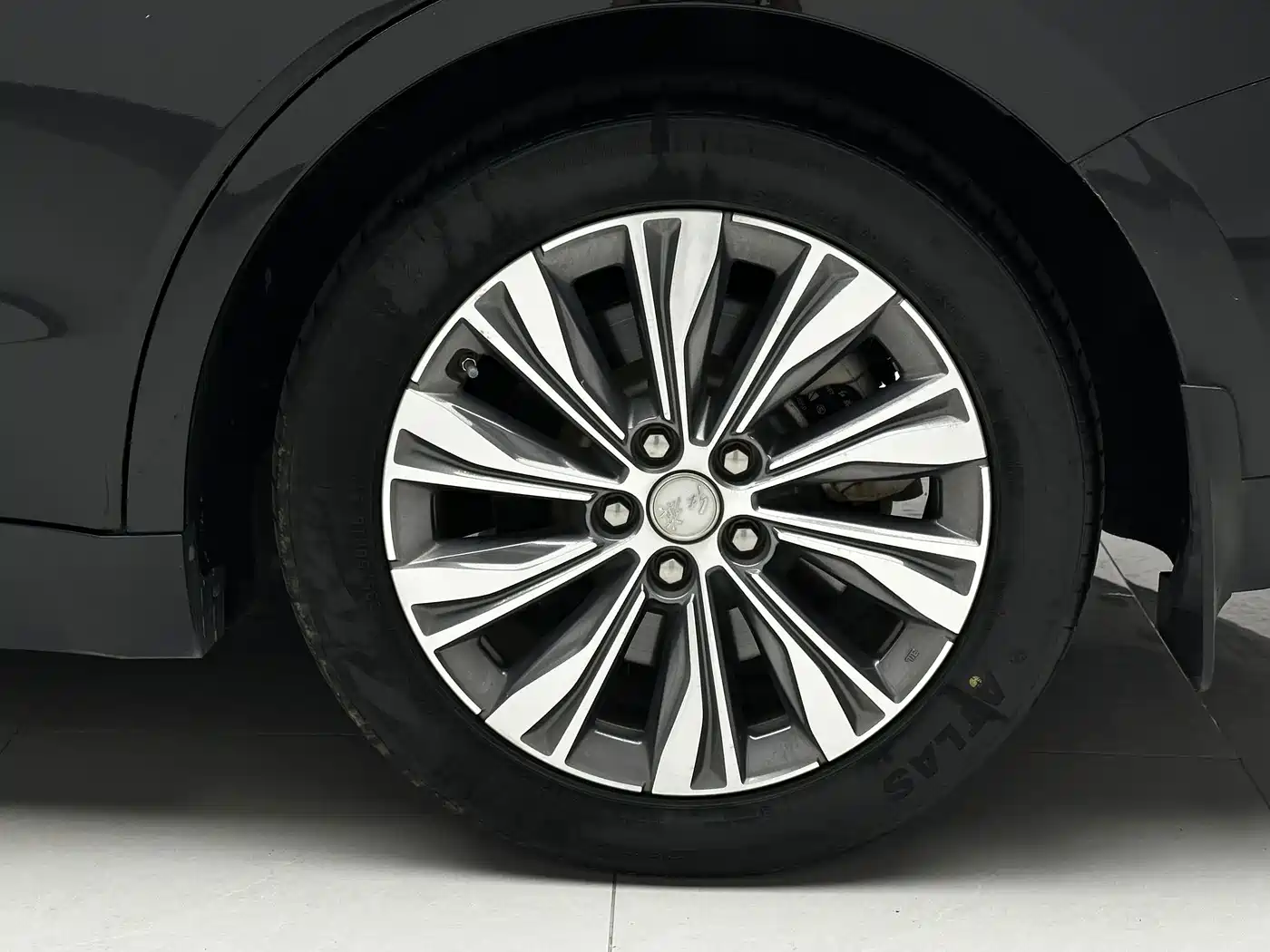 Hongqi E-QM5 2025 2024 Model 610km PLUS