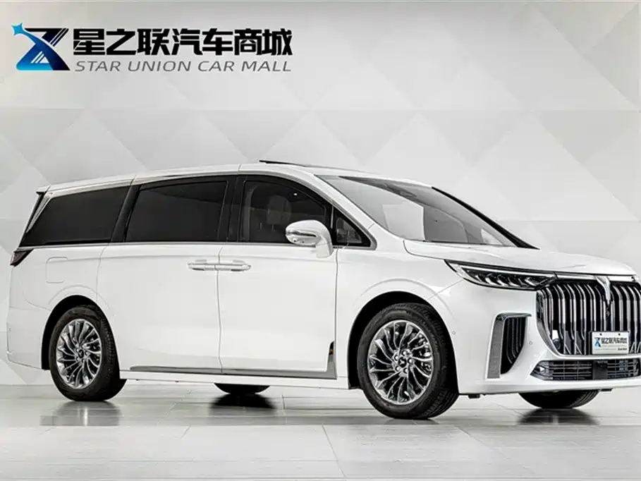 Voyah Auto Voyah Dreamer 2024 PHEV Extended Range Premium Edition фото 5