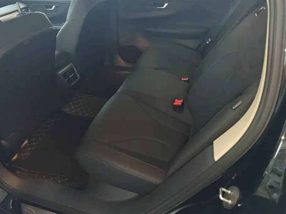 Hongqi E-QM5 2023 Facelift Basic Travel Edition фото 11