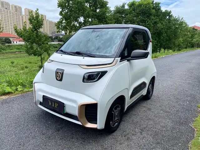  Baojun Baojun E200 2019 250KM Smart Enjoy Edition
