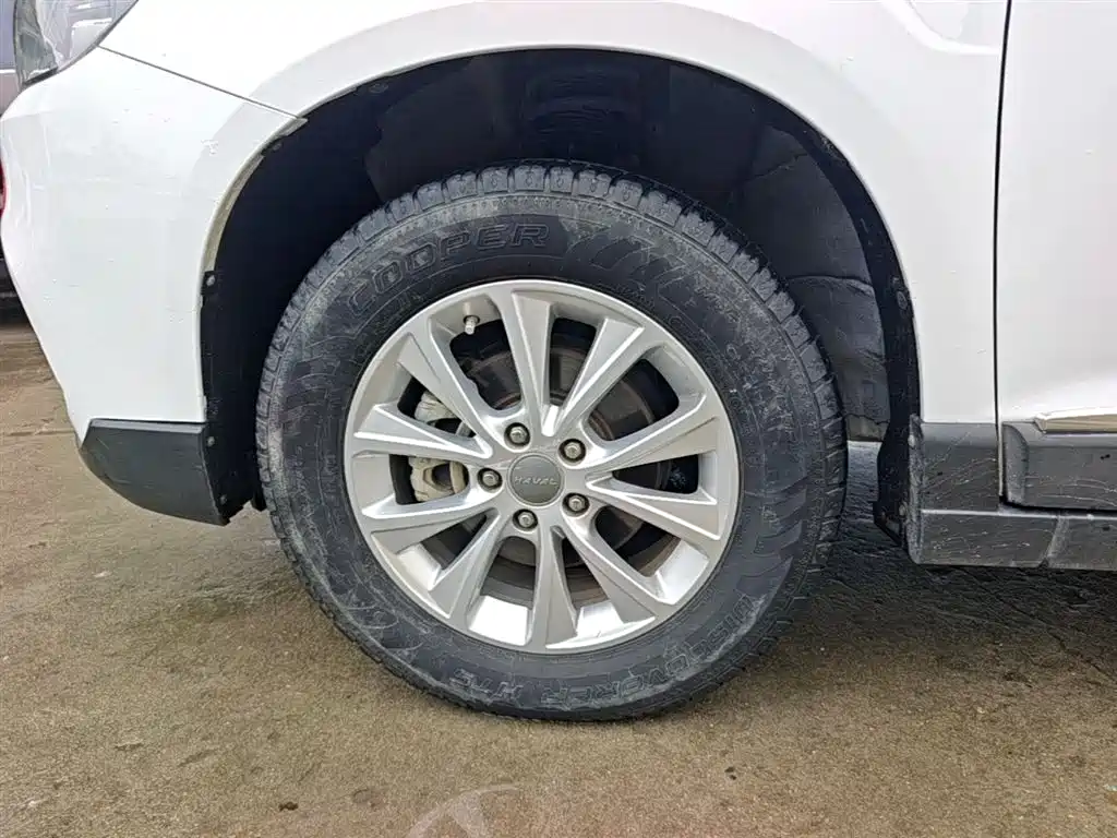 Haval H6 2018 Blue Label Sport 1.5T Manual 2WD Elite фото 25