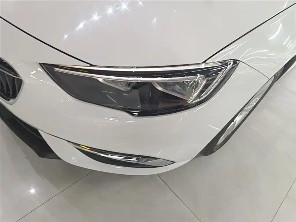 Buick Regal 2017 20T Elite Type фото 24