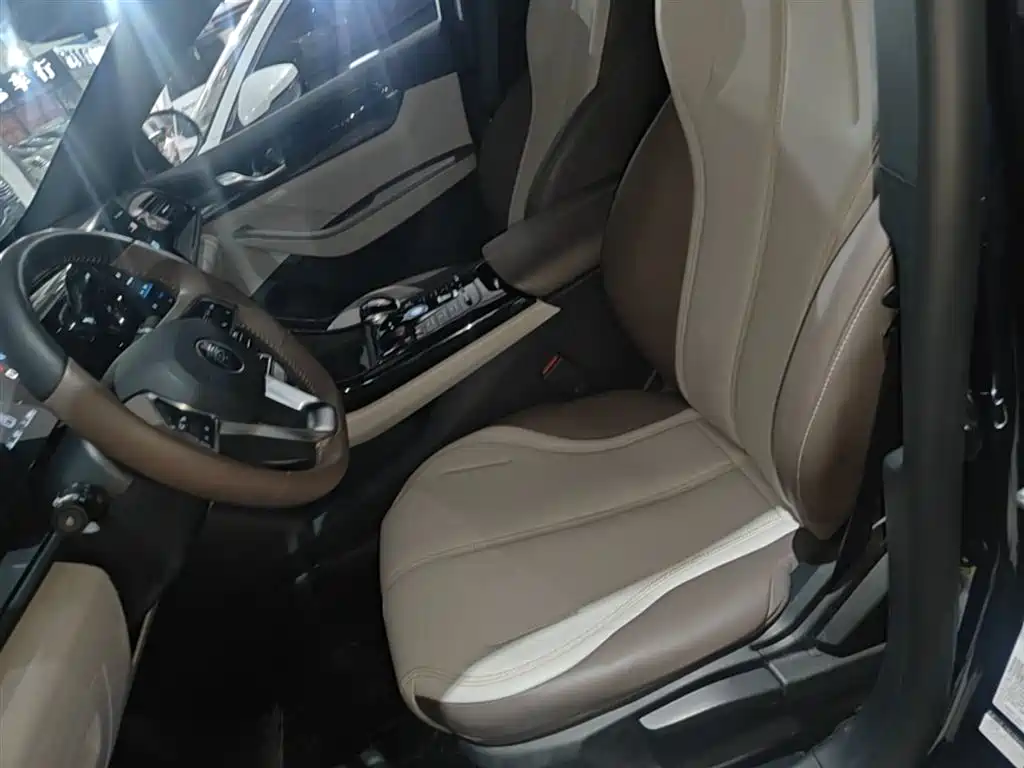 BYD Qin PLUS 2024 Glory Edition DM-i 55KM Leading фото 15