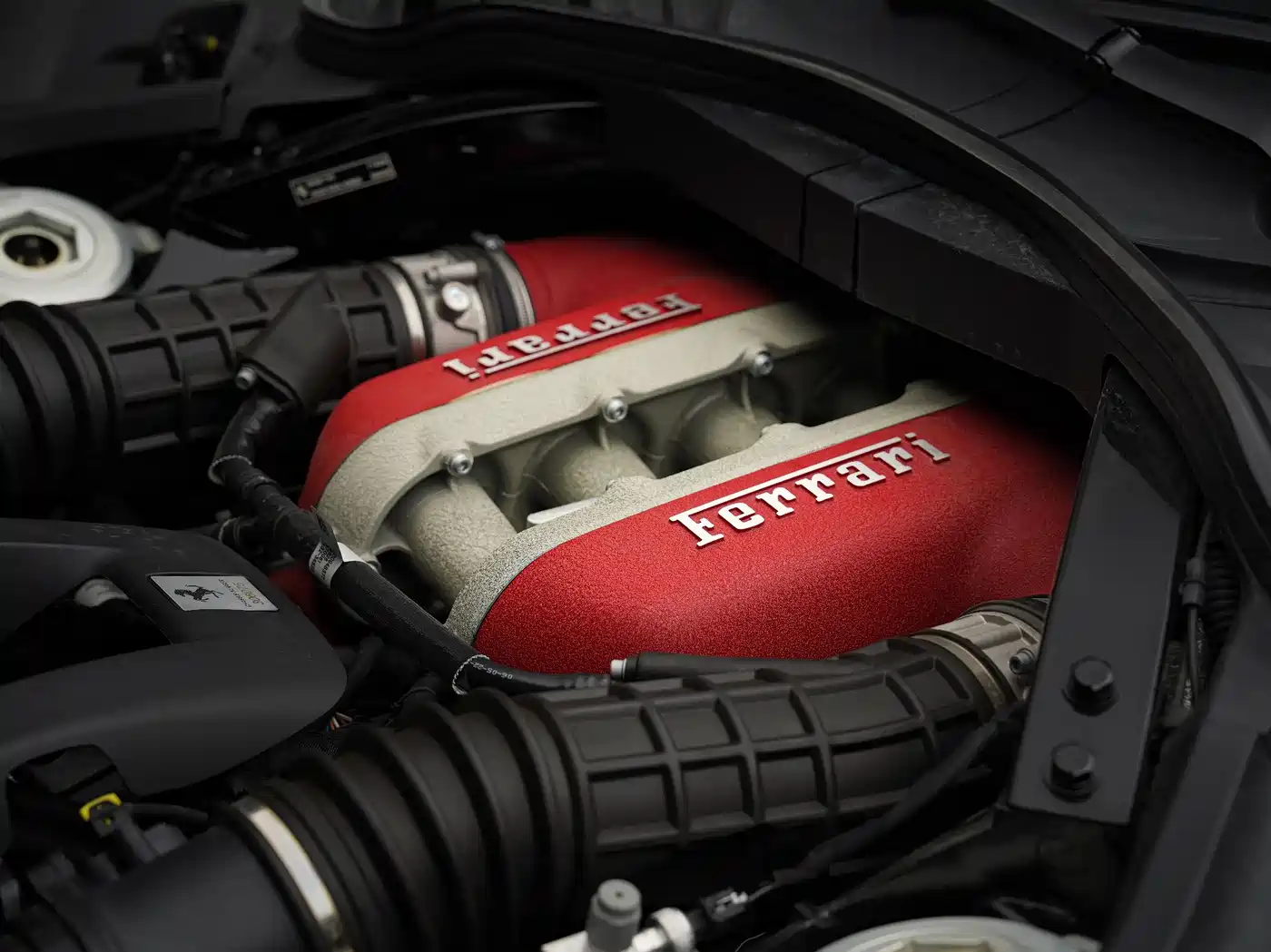 FERRARI PUROSANGUE