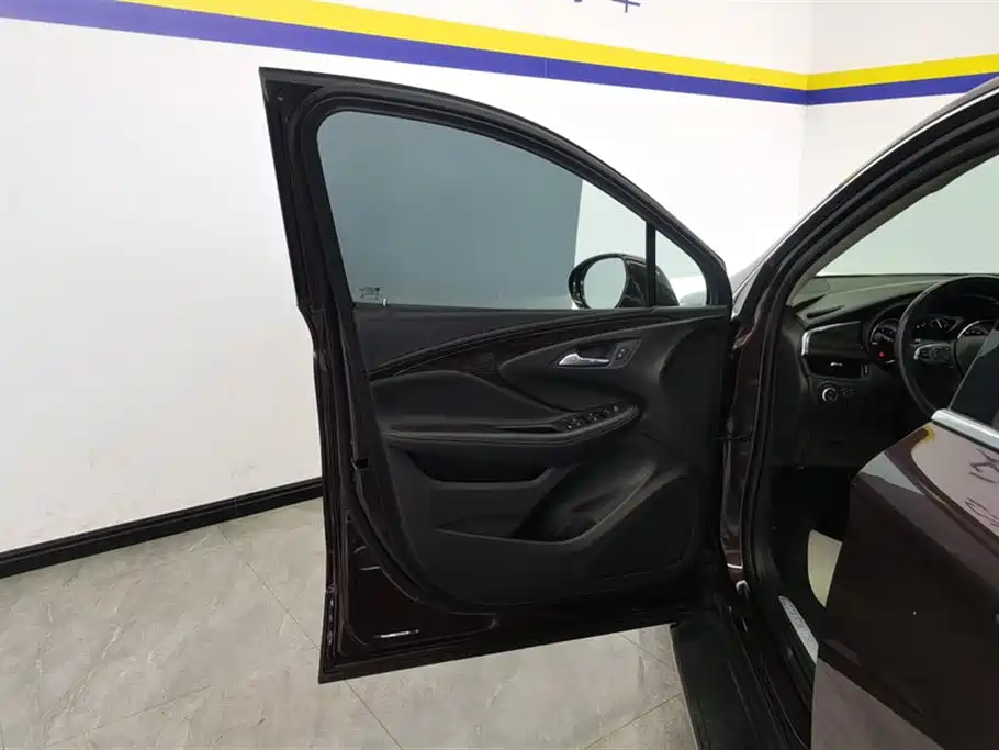 Buick Envision Plus 2019 20T 2WD Elite Type China V фото 7