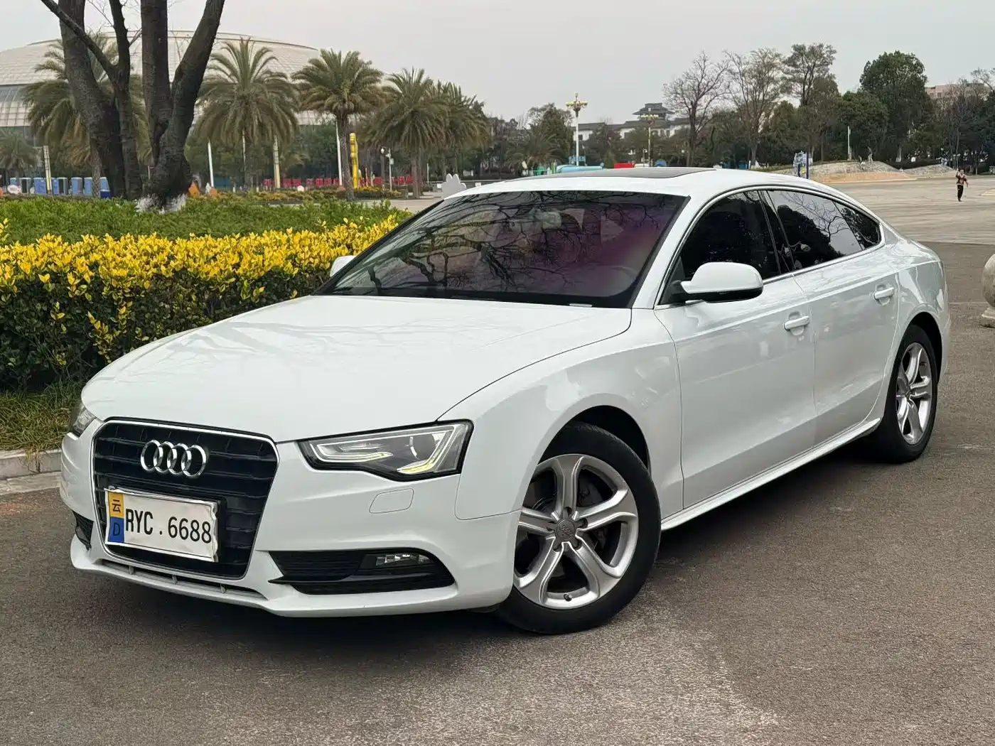 Audi A5 (Import) 2014 Sportback 45 TFSI фото 3