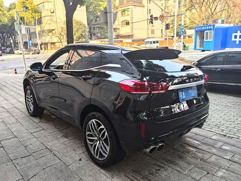 WEI PAI WEI BRAND VV5