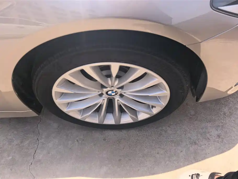 BMW 5 Series New Energy 2020 530Le Luxury Package фото 6