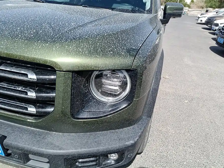 Haval Big Dog 2021 2.0T DCT 4WD Chinese Rural Dog Edition фото 5