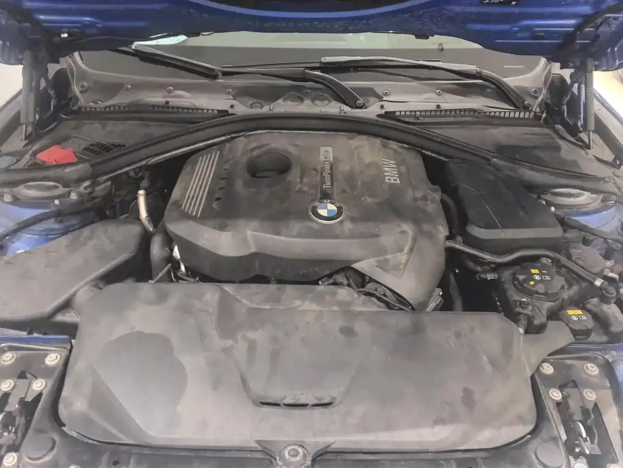 BMW 3 Series 2018 320Li M Sport Black Night Edition фото 10