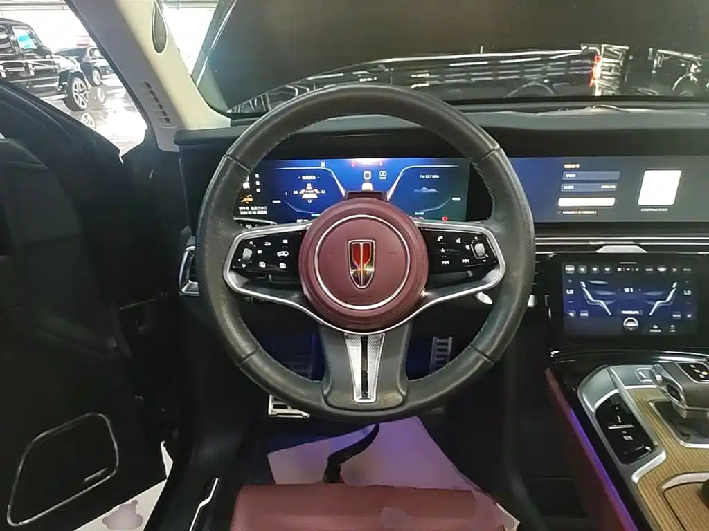 Hongqi E-HS9 2022 660km Qi Chang Edition (6-seater) фото 11
