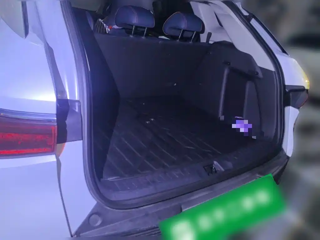 BYD Yuan PLUS 2022 430KM Premium 10