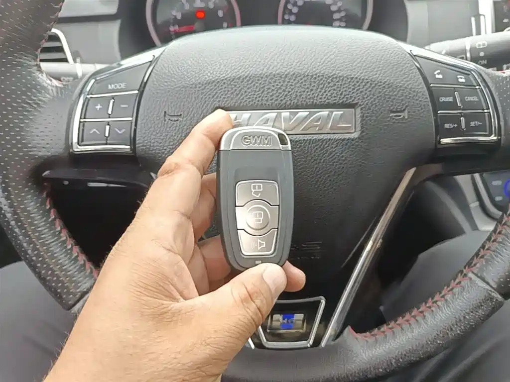 Haval H6 2017 Blue Label Sport 1.5T Auto 2WD Luxury фото 9