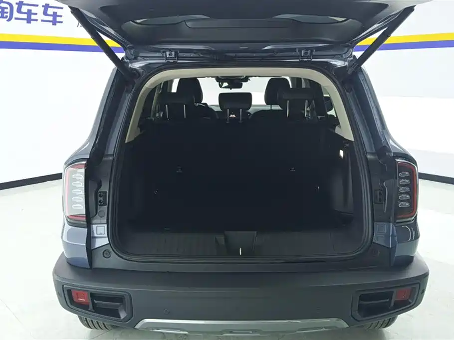 Haval Big Dog 2024 1.5T DCT Border Collie Edition фото 4