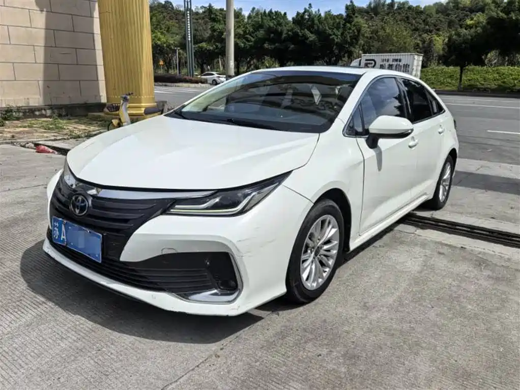 TOYOTA ASIAN LION 2023