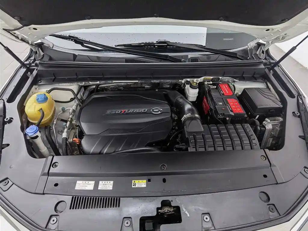 GAC Trumpchi Trumpchi GS8 2020 GS8S 390T 2WD Luxury Smart Connect Edition фото 6