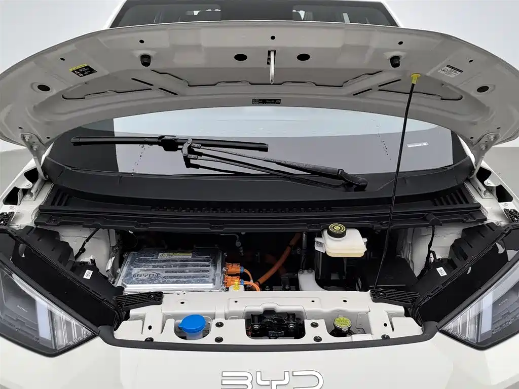 BYD Seagull 2025 Smart Drive Edition 305km Freedom Version фото 6