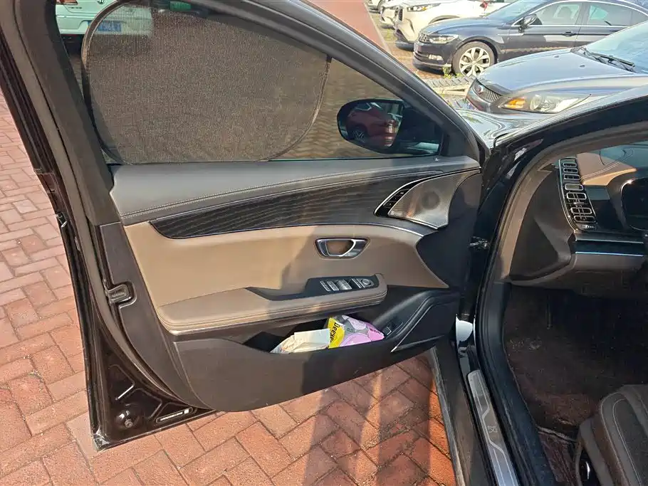 BYD Han 2020 EV Extended Range Premium фото 7