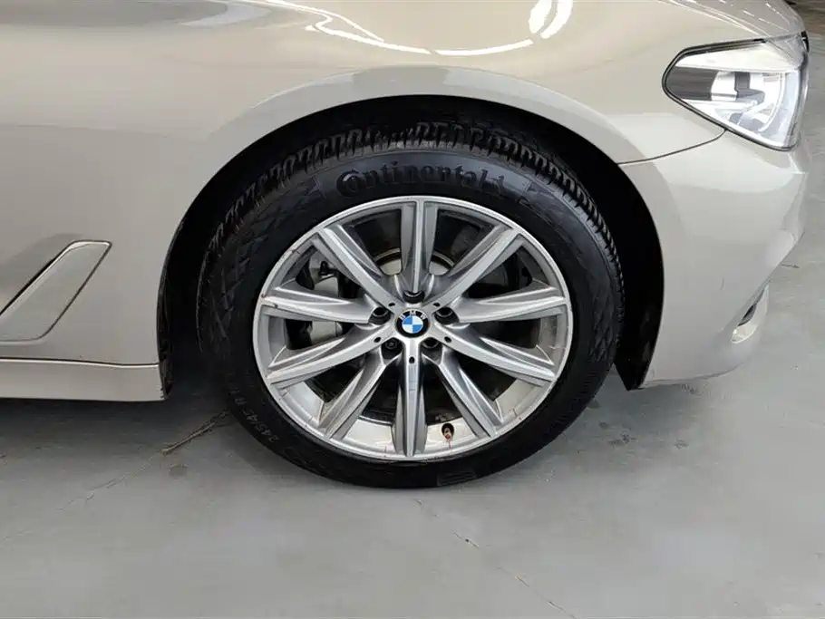 BMW 5 Series 2018 528Li Launch Special Edition фото 6