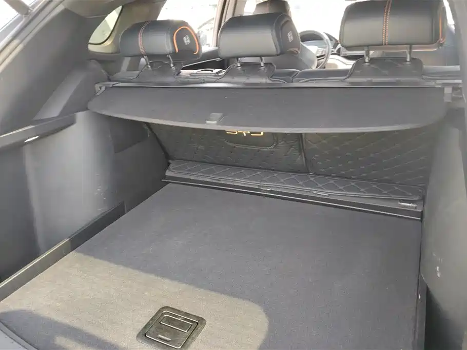 BYD Song PLUS PHEV 2023 Champion Edition EV 520KM Premium фото 4