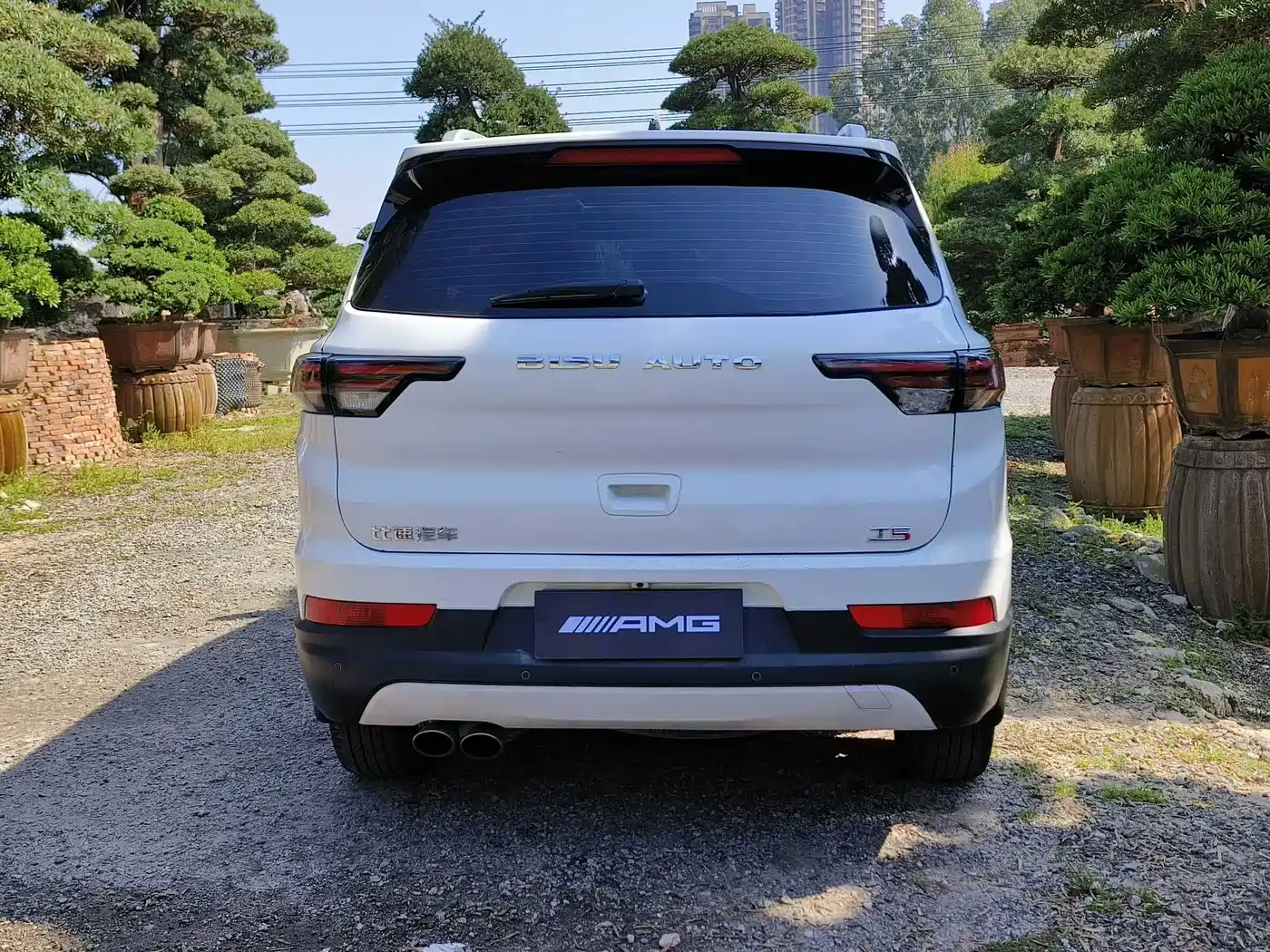 BISU AUTO SPECIFIC SPEED T5