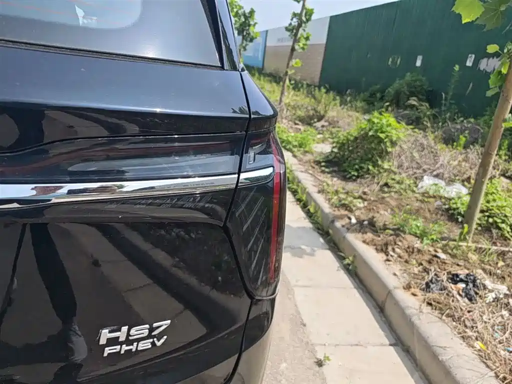 Hongqi HS7 PHEV 2024 2.0T PHEV 4WD Flagship Edition 6-seater фото 8