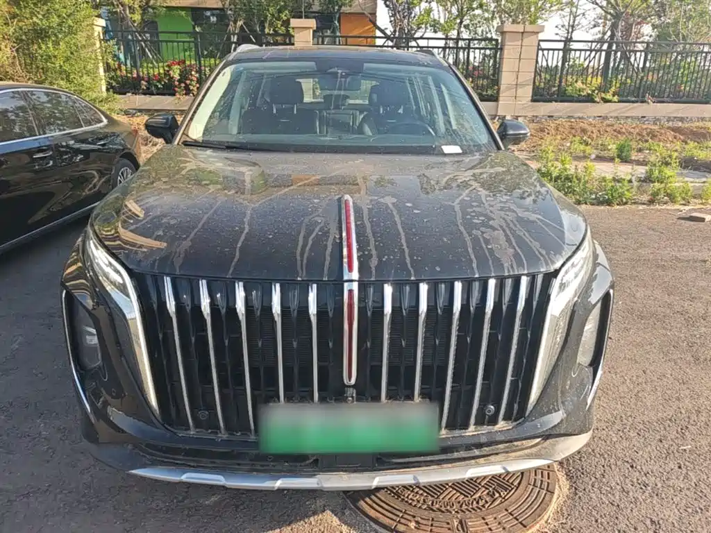 Hongqi HS7 PHEV 2024 2.0T PHEV AWD Qichang Edition 7-seater фото 3