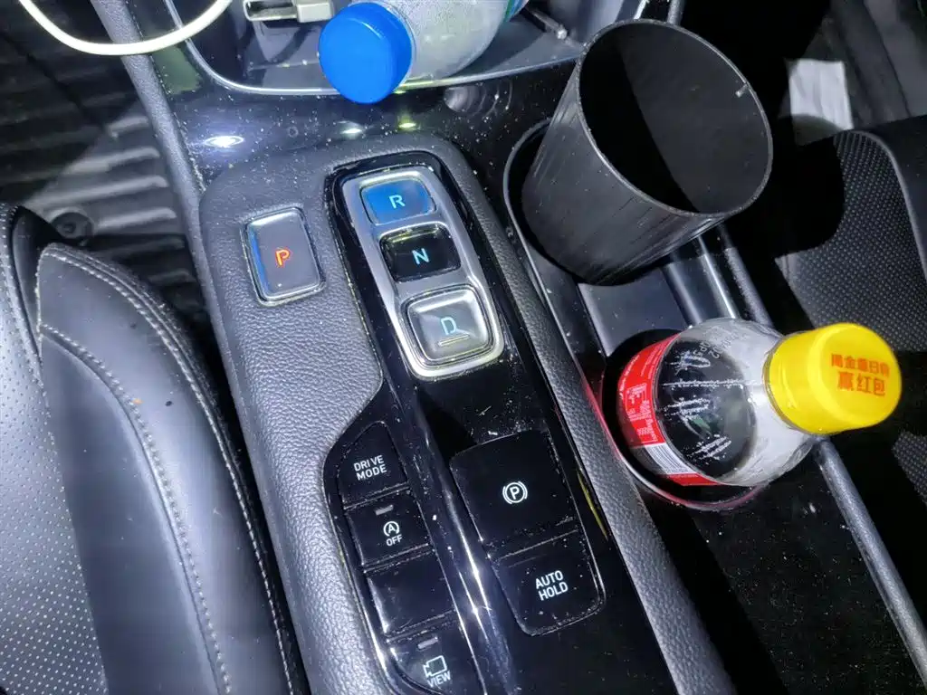Hyundai Santa Fe 2019 380 TGDi GLS Automatic 2WD Luxury Edition China VI фото 10