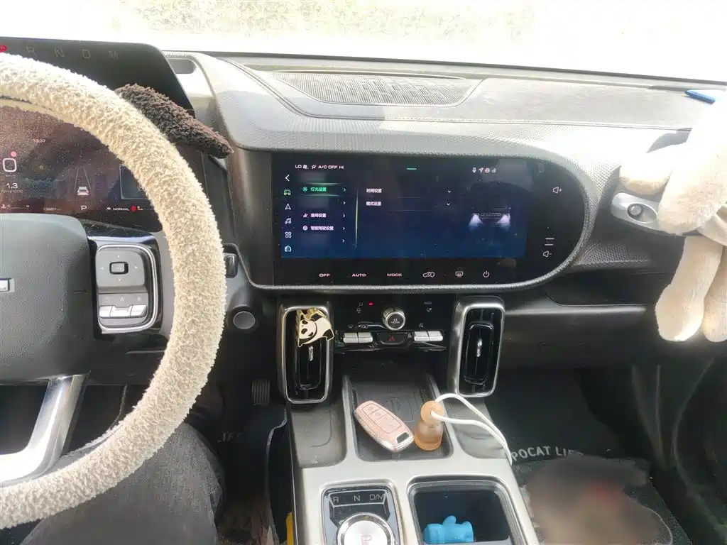 Haval Big Dog 2024 1.5T DCT Border Collie Edition фото 6