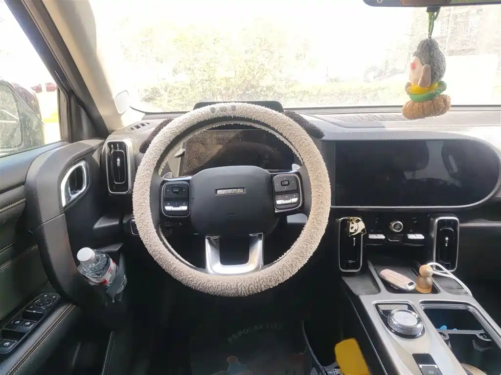 Haval Big Dog 2024 1.5T DCT Border Collie Edition фото 3