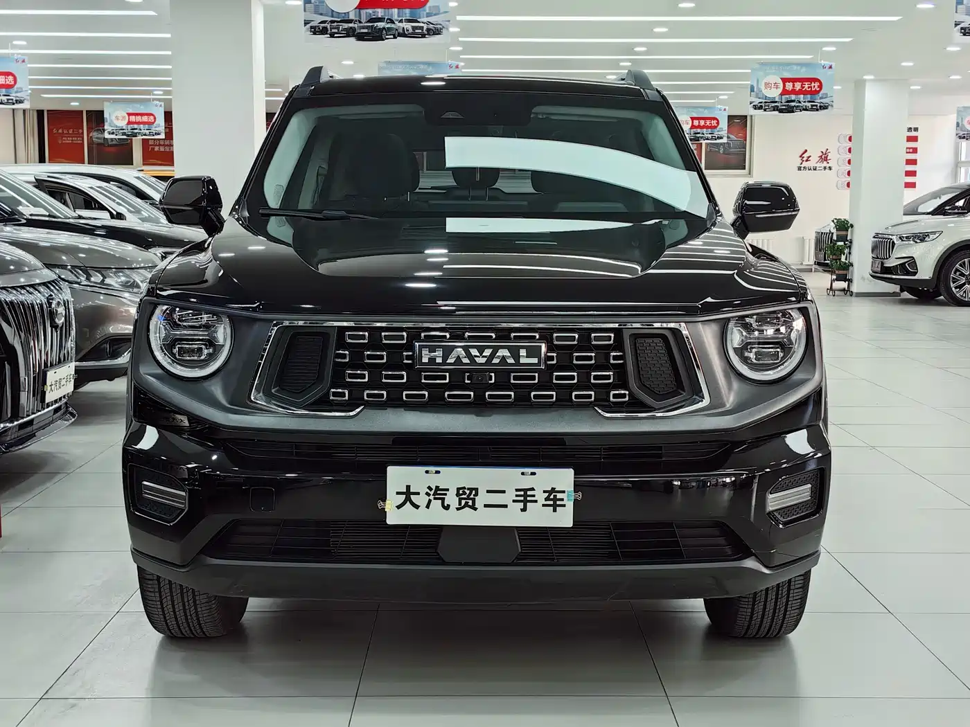 HAVAL BIG DOG PLUS