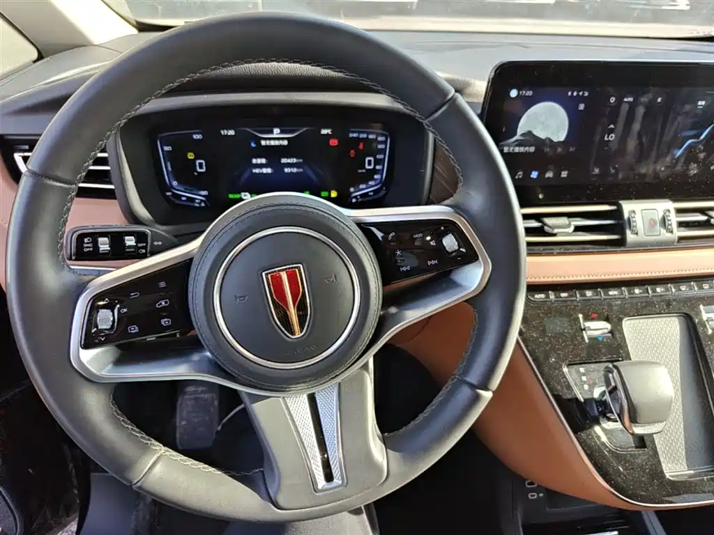 Hongqi HQ9 PHEV 2024 Model 2.0T AWD Business Edition фото 11