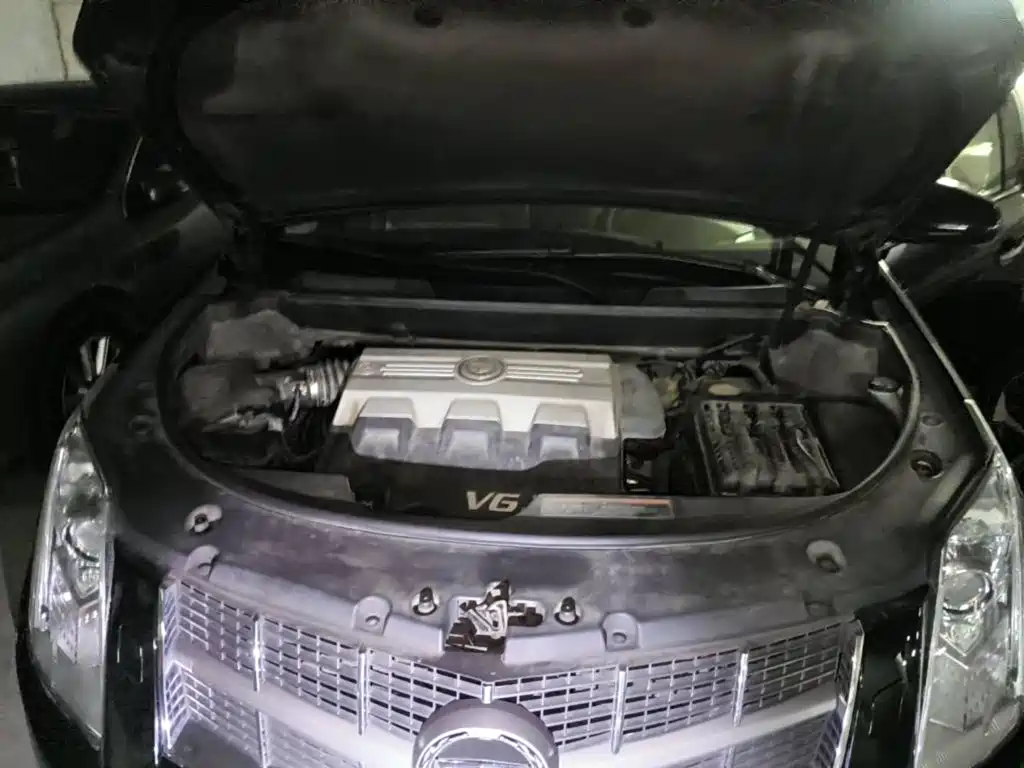 Cadillac SRX 2010 2010 3.0L Flagship Edition