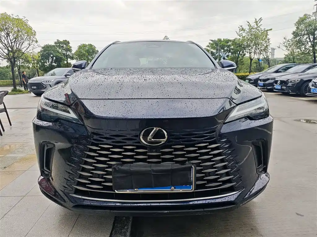 Фото 3 - Lexus RX