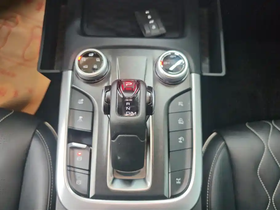 Tank 300 2024 Model 2.0T Challenger фото 16