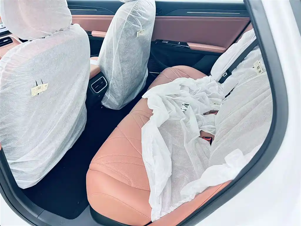 Geely Galaxy Galaxy L6 2025 EM-i 140km Starship Edition фото 16