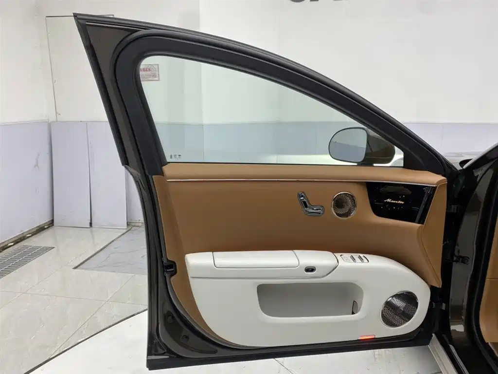Zunjie S800 2025 2025 Model Extended Range Starlight Executive Edition 4-seater