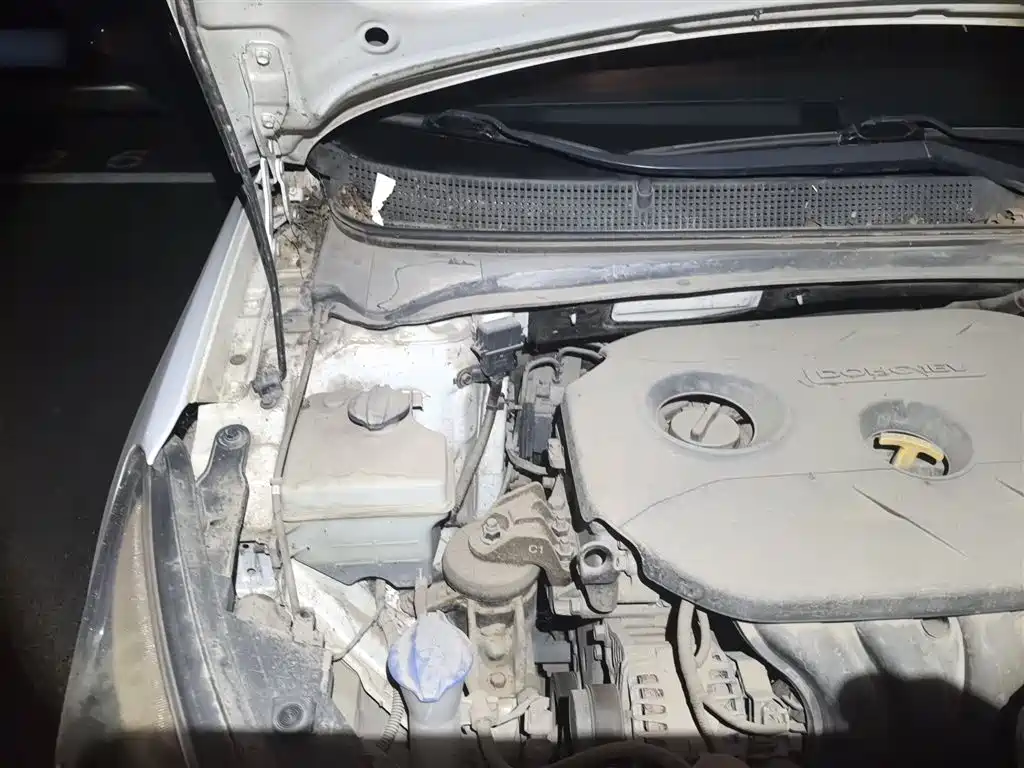 Hyundai Mistra 2014 1.8L Auto Premium DLX фото 21
