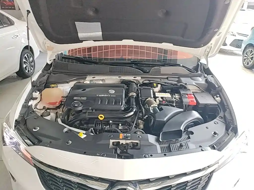 BUICK WEILANG