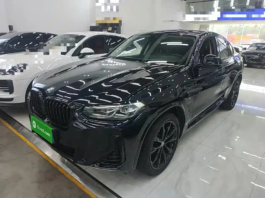 BMW X4 2023 2022 xDrive 30i M Sport Package