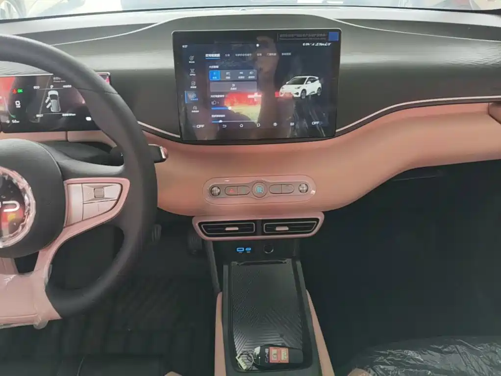 BYD Seagull 2026 2025 Smart Drive Edition 305km Vitality Version