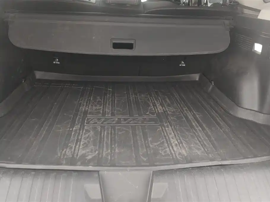Haval Big Dog 2022 Model 2.0T DCT AWD Howling Celestial Dog Hunting Edition фото 4