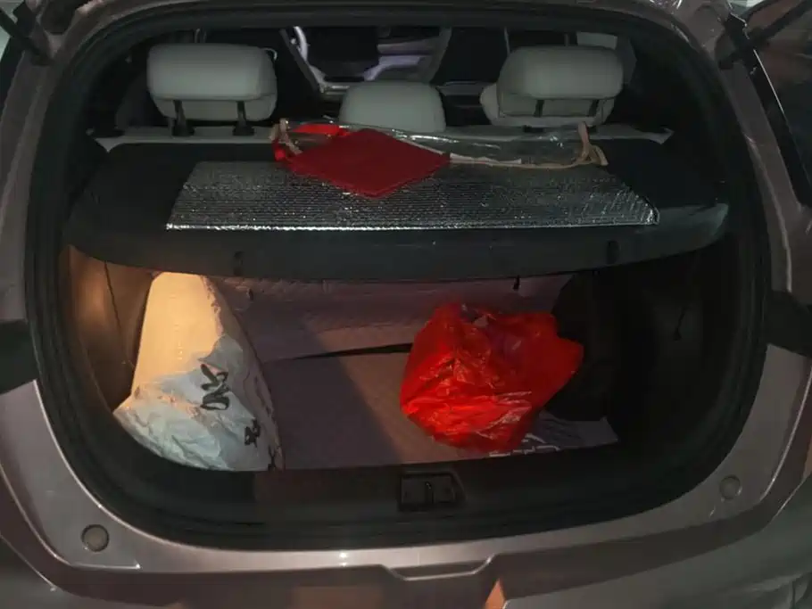 BYD Dolphin 2021 Model 405km Fashion Edition фото 4