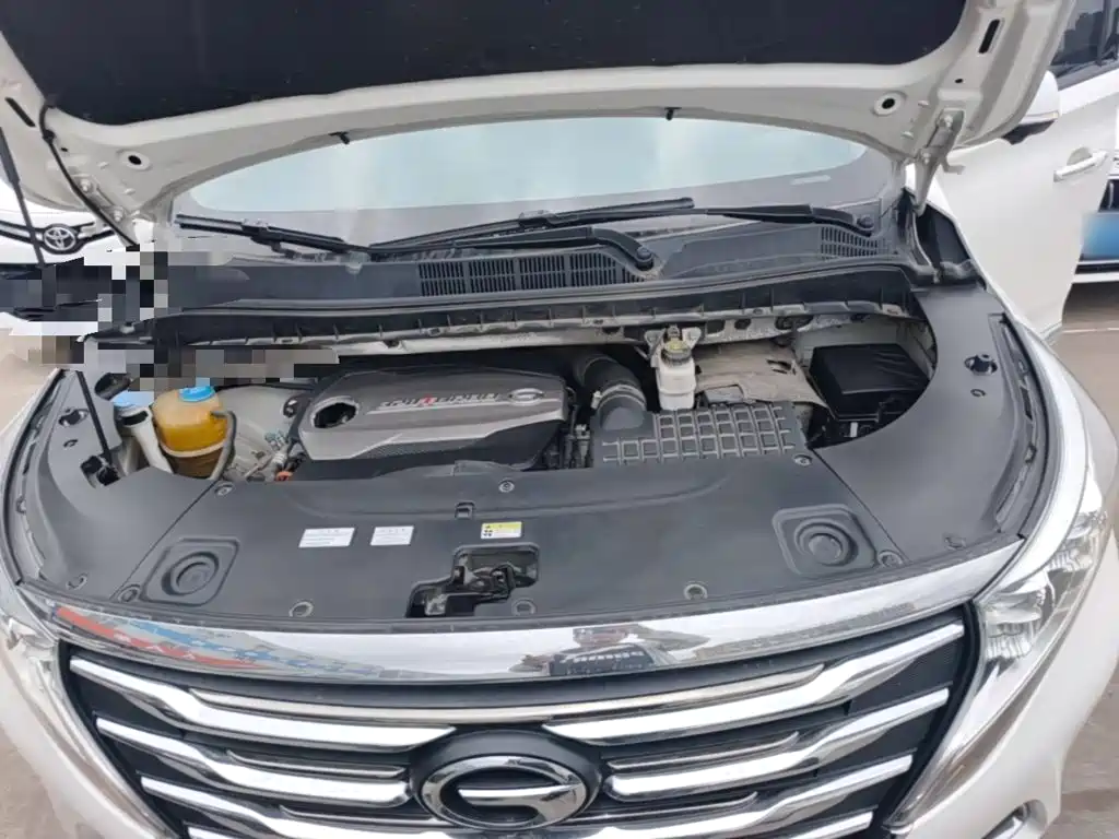 Фото 20 - GAC Trumpchi Trumpchi M8