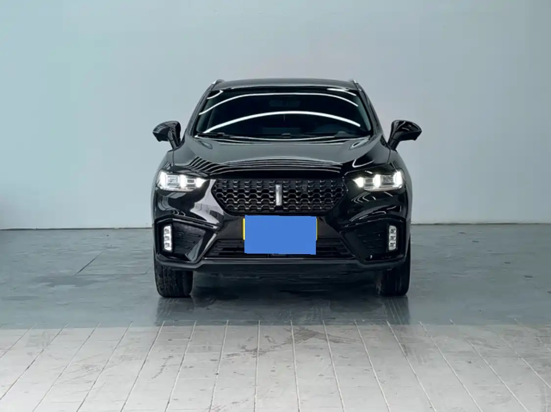 WEI PAI WEI BRAND VV5