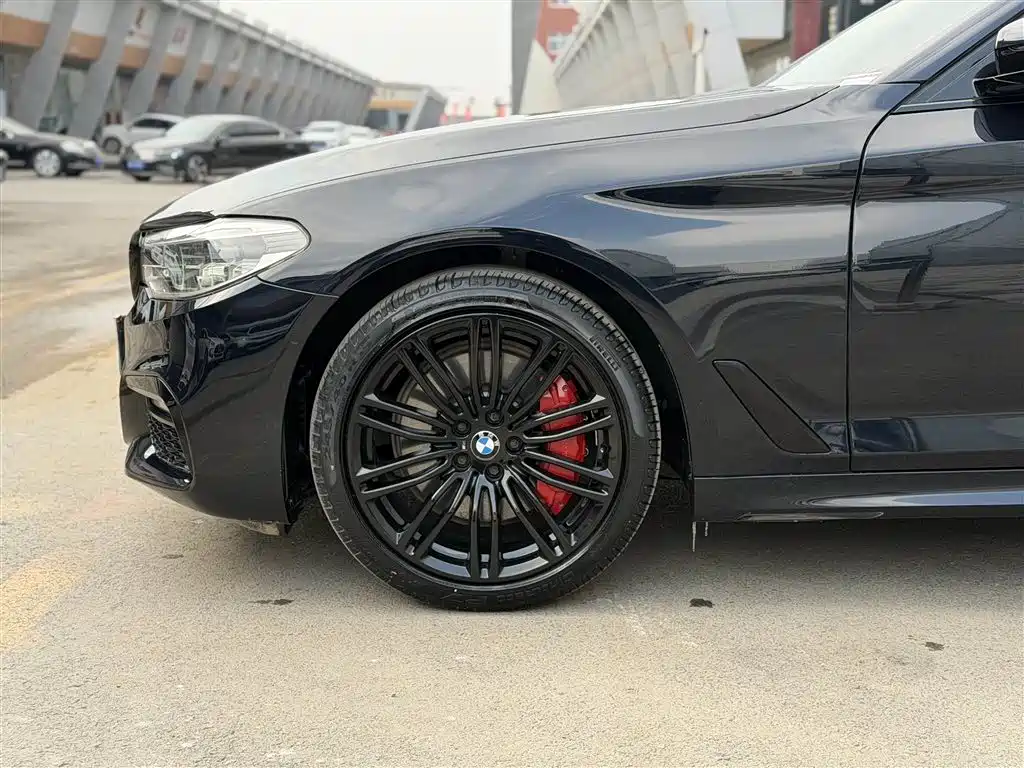 BMW 5 Series 2019 530Li Premium M Sport Package фото 7
