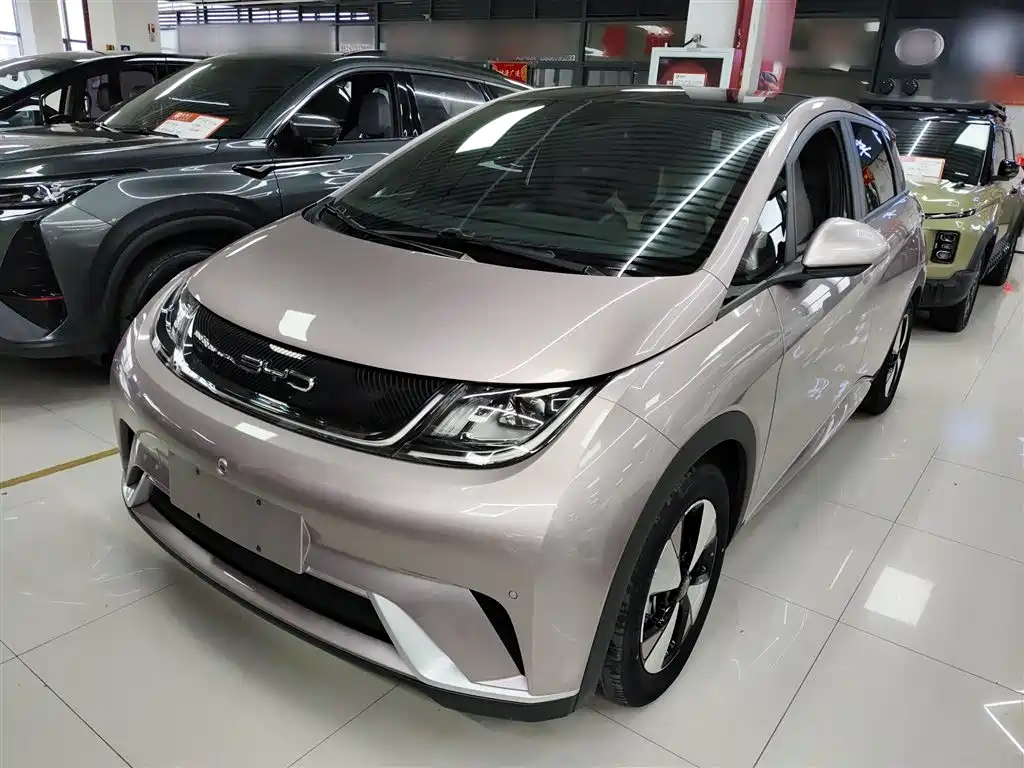 BYD Dolphin 2023 420km Fashion Edition фото 2